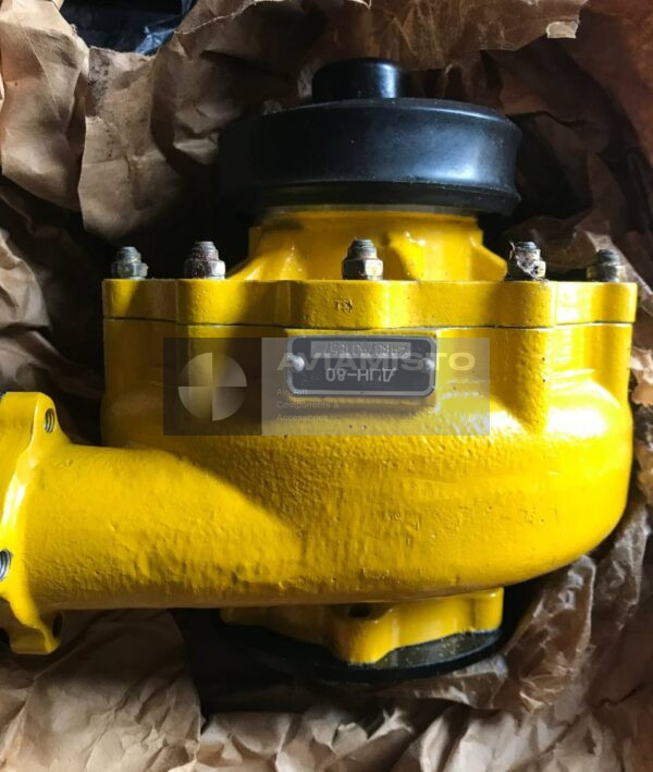 DTSN-80 Fuel Pump