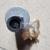 ID-8 Inductive Pressure Transmitter Mi-8